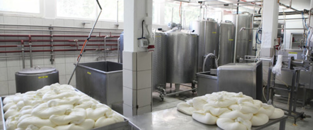 Млекара Златарка